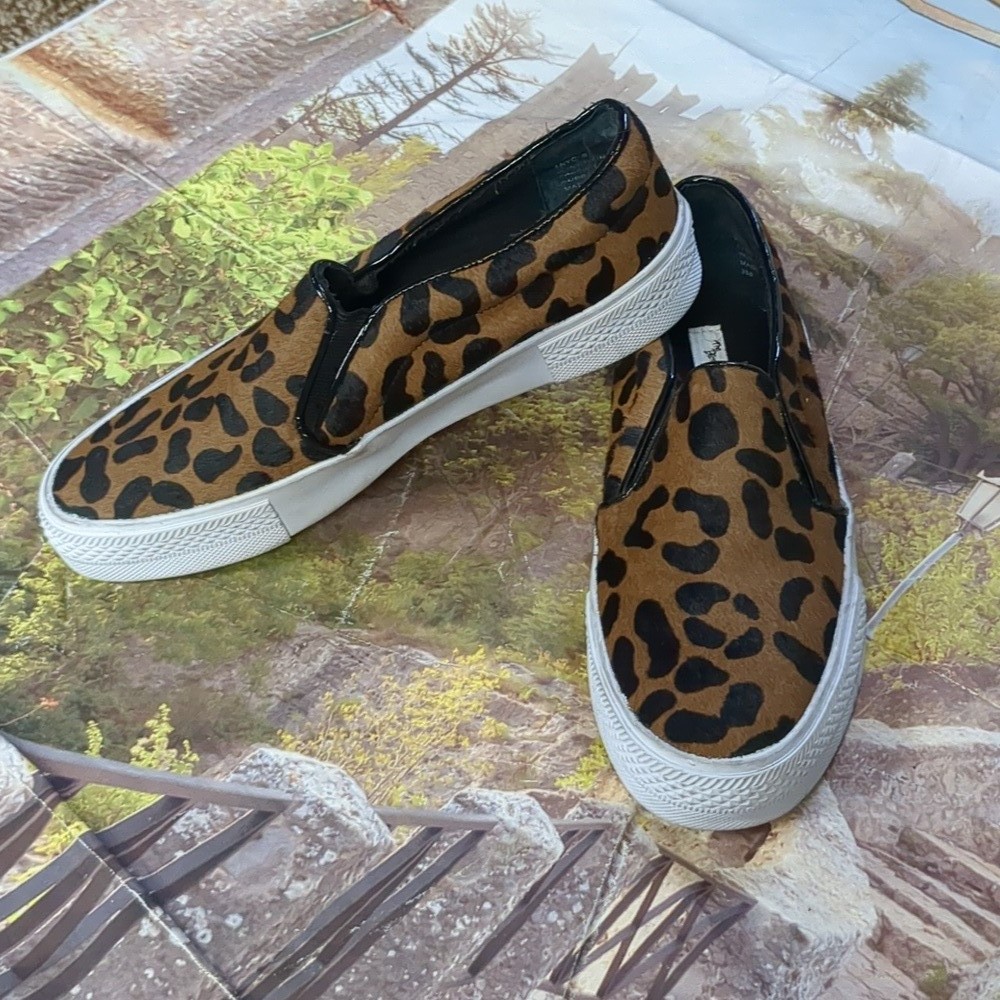 Steve madden X the blonde salad cheetah print shoes size 8