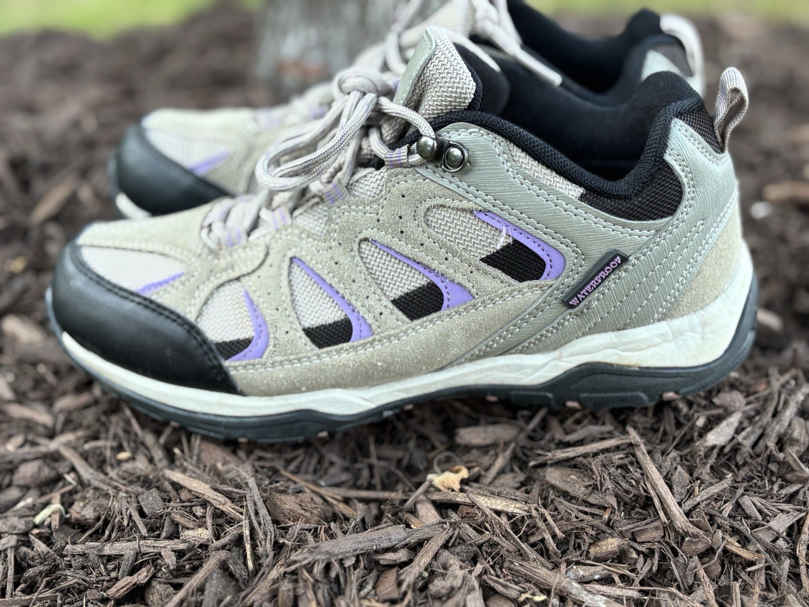 Magellan Outdoors Women’s Brown/Purple Sonora Pass Low Hiker Shoes, Size 8.5