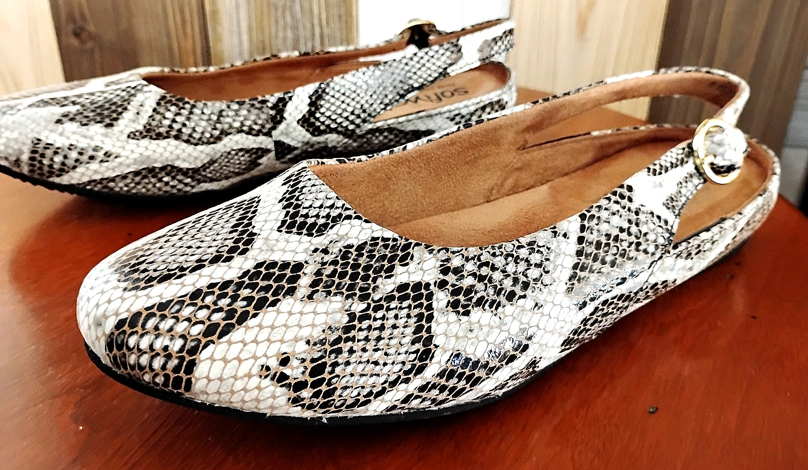 Womens Sz 8 W SoftWalk Sandy Flat Ballet Shoes Slide Black and White Snake ~NEW~
