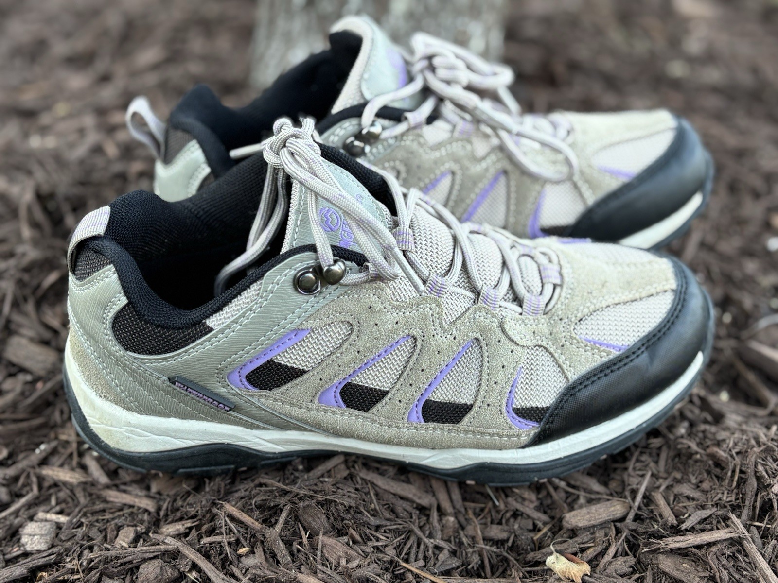 Magellan Outdoors Women’s Brown/Purple Sonora Pass Low Hiker Shoes, Size 8.5