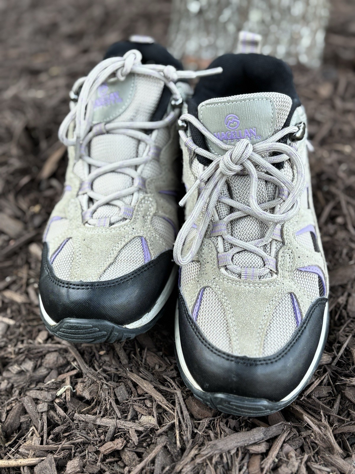 Magellan Outdoors Women’s Brown/Purple Sonora Pass Low Hiker Shoes, Size 8.5