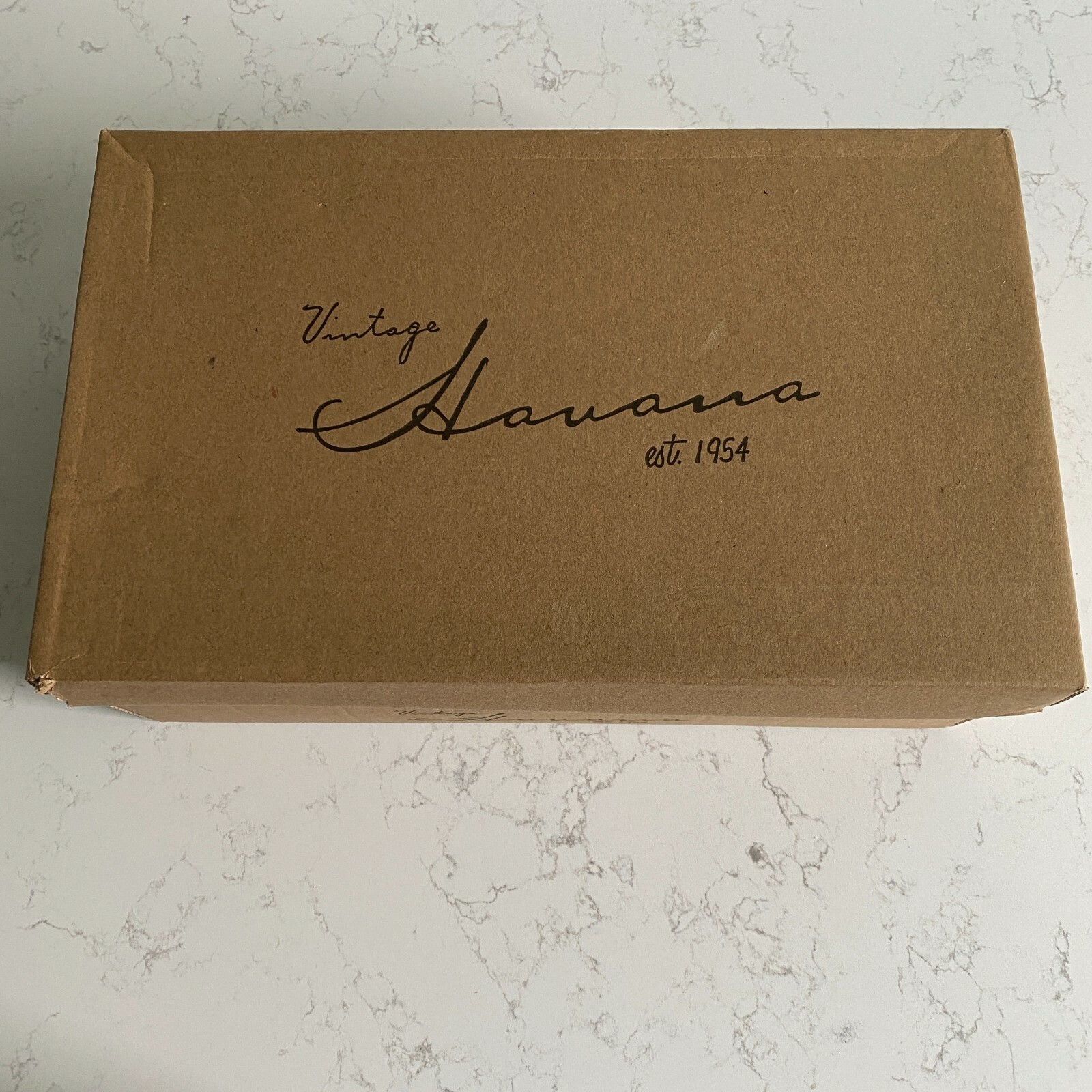 Vintage Havana Fly Pattern Unique Low Top Sneakers Size 8 Fall