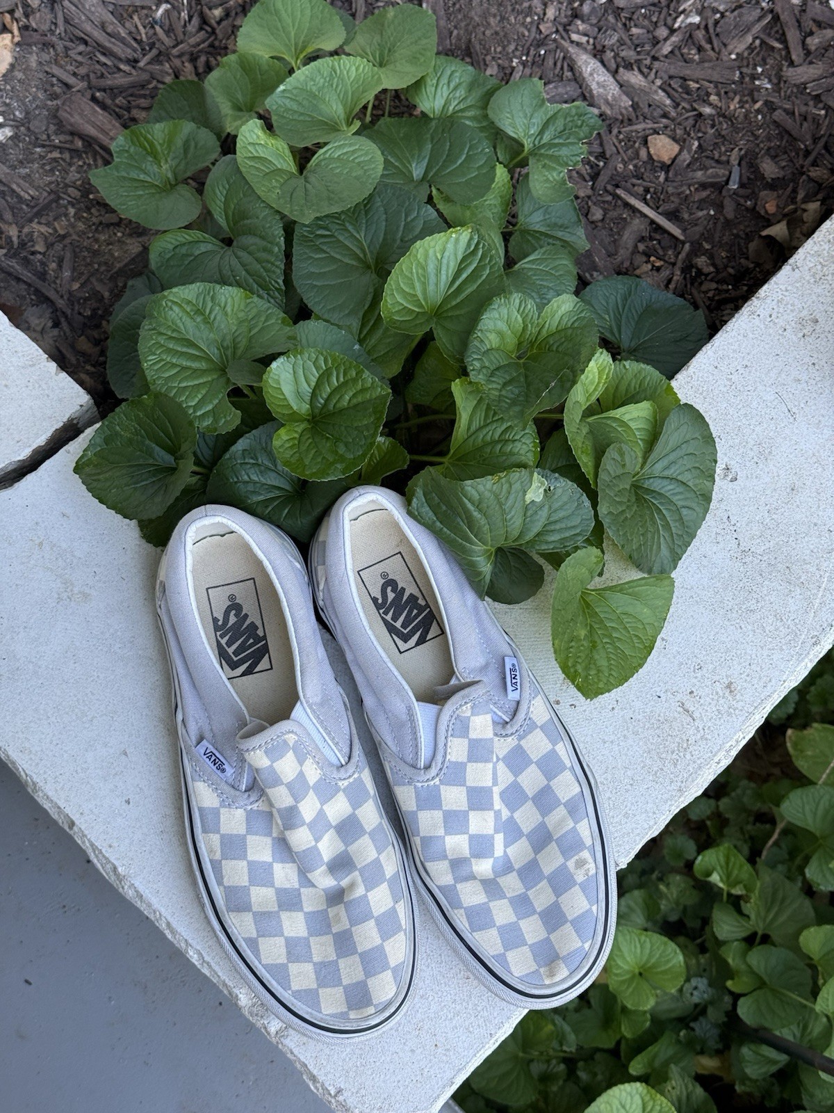 Vans white and Gray checkered slip on’s women’s 8 Men’s 6.5