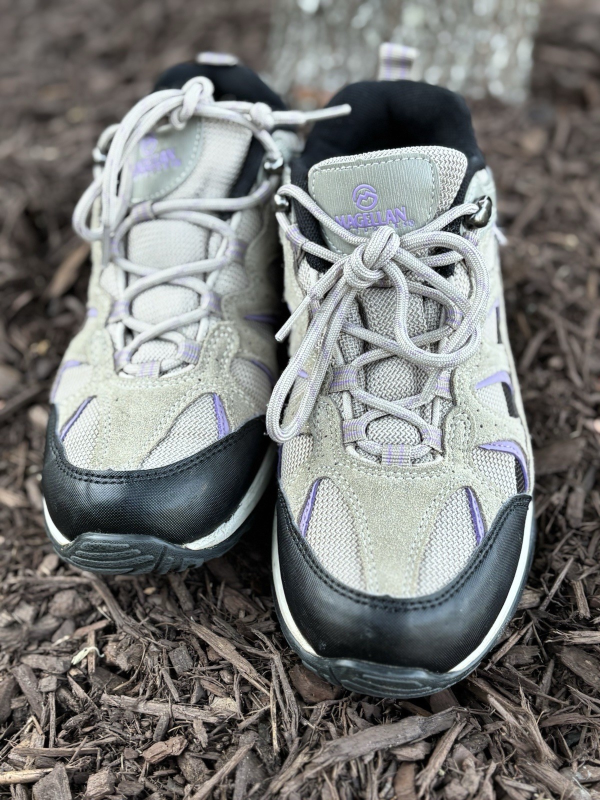 Magellan Outdoors Women’s Brown/Purple Sonora Pass Low Hiker Shoes, Size 8.5